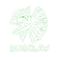 DinoClaw